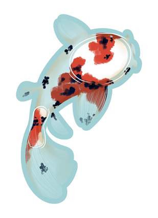 Koi Fish